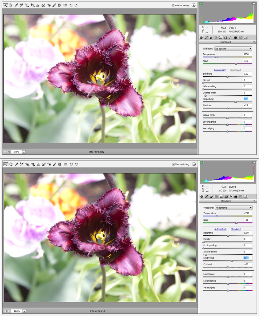 Fotografie Tips & Tricks