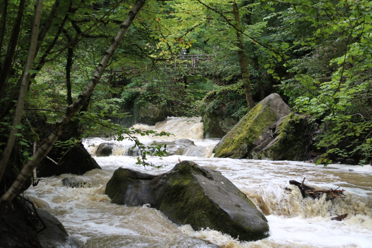 Waterfall Image